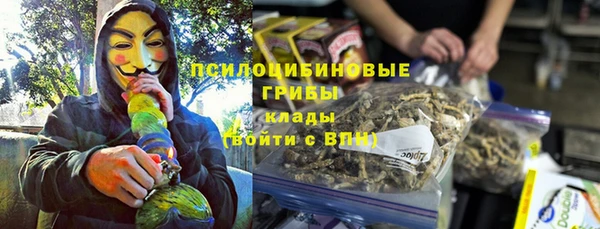 ешки Дмитров