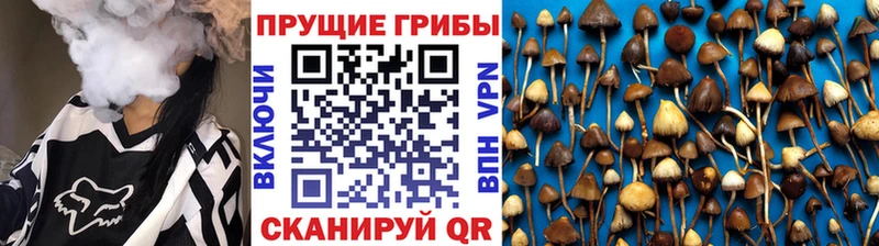 Псилоцибиновые грибы мицелий  Купить закладки  Абдулино 